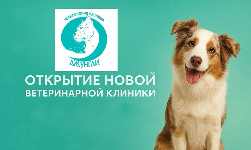 Открытие новой клиники